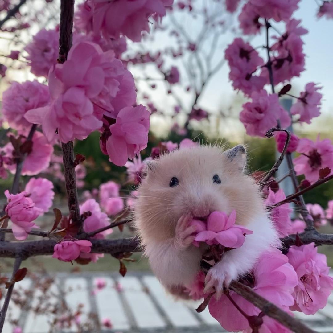 我是二蛋