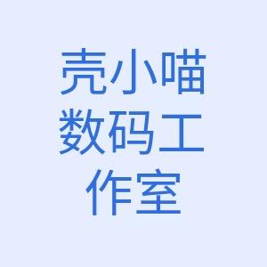 重生之我在pdd卖手机壳