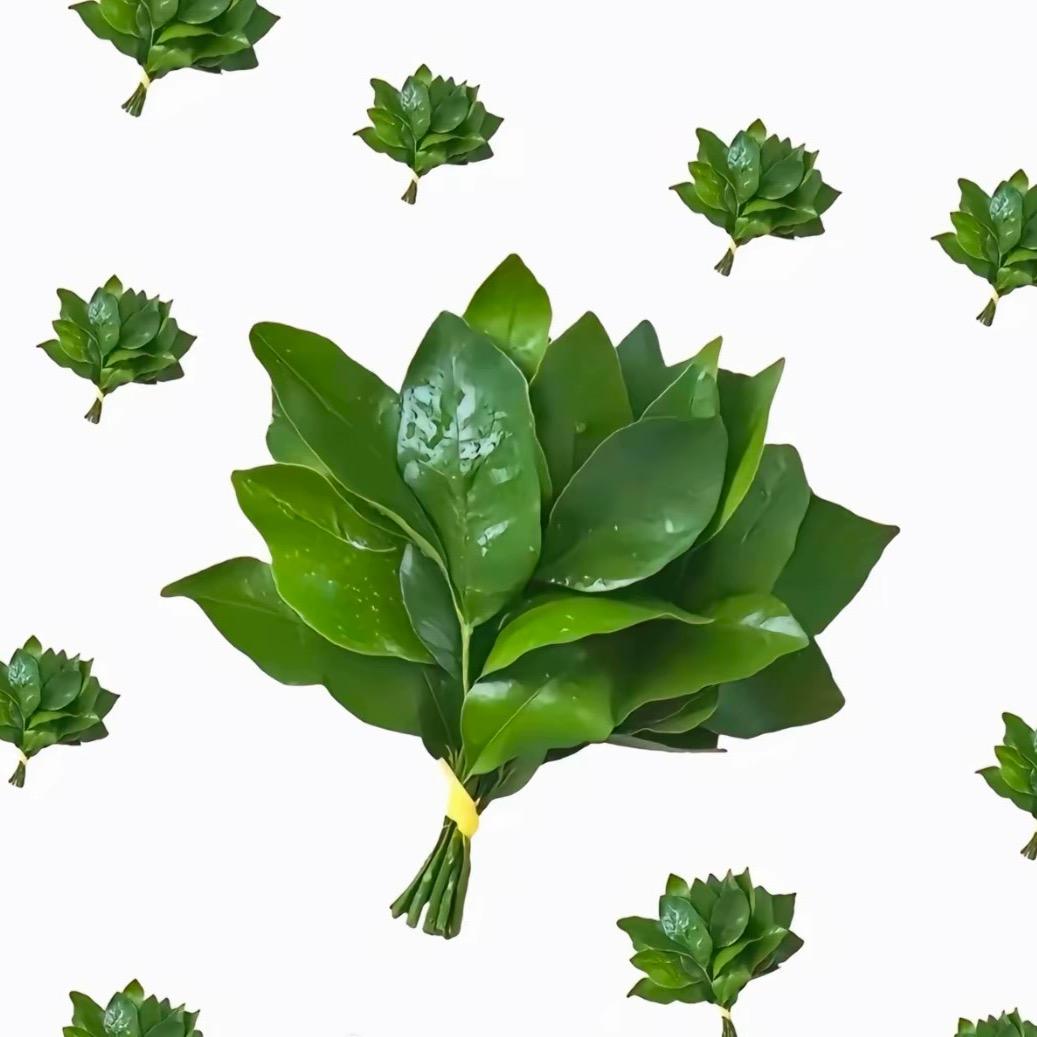 五指山汽车维修喷漆板金修复