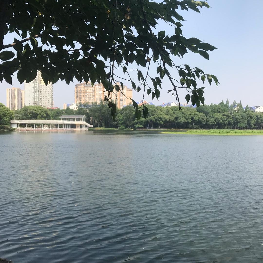 元启大师