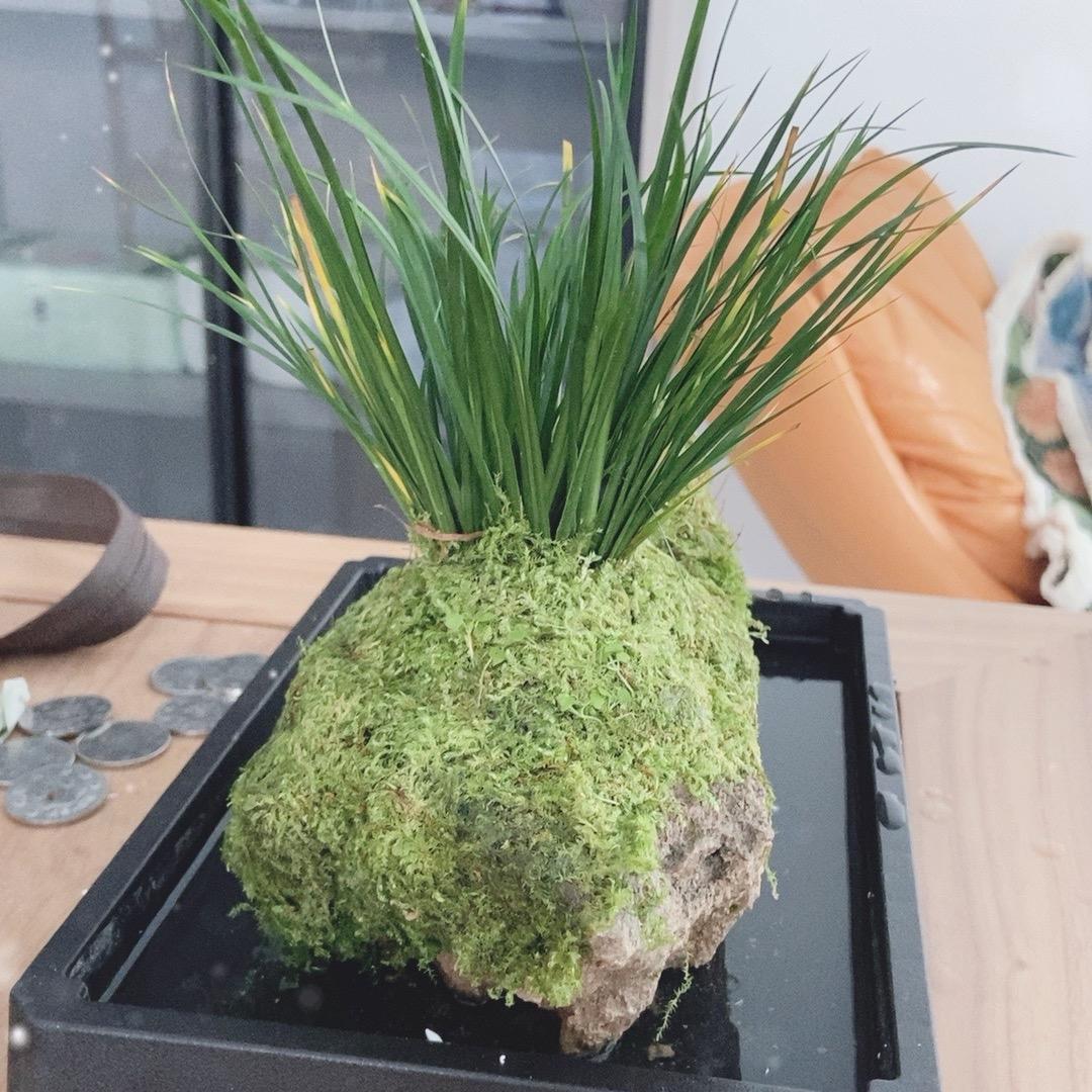 阿斯顿1