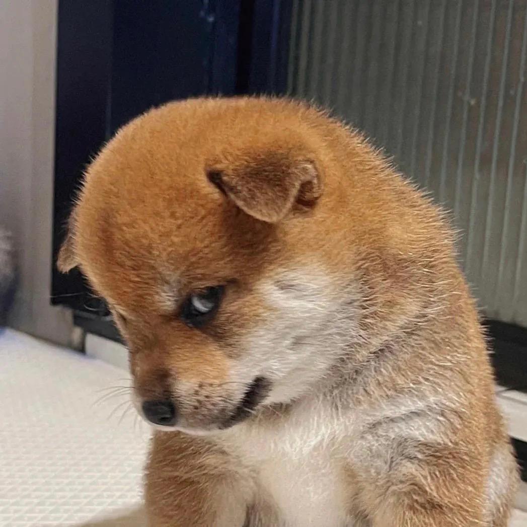 🪷好事将近🍀