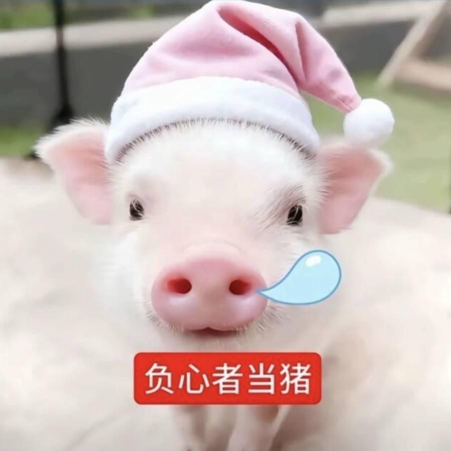 陨落的天才
