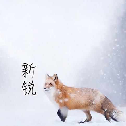新锐皮草