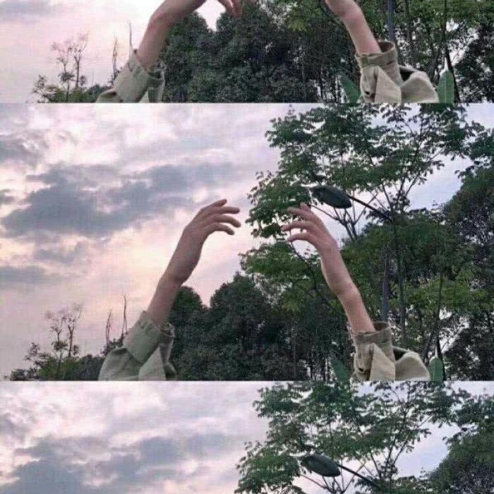 薯条🍟