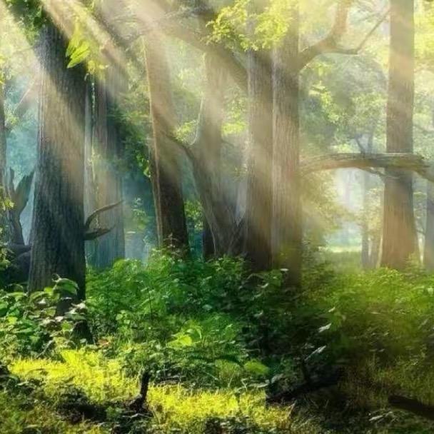 在河南你要知道