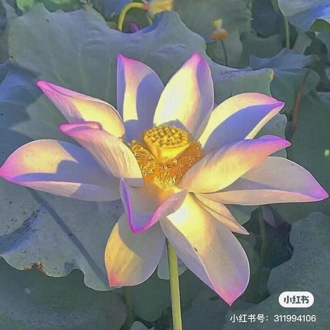 开心快乐多一点