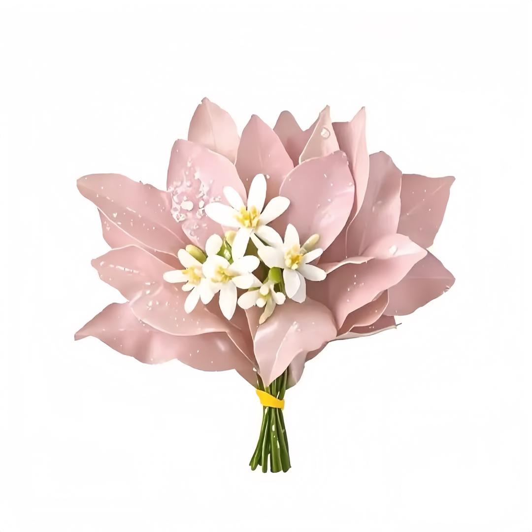 佳旺手机壳数码