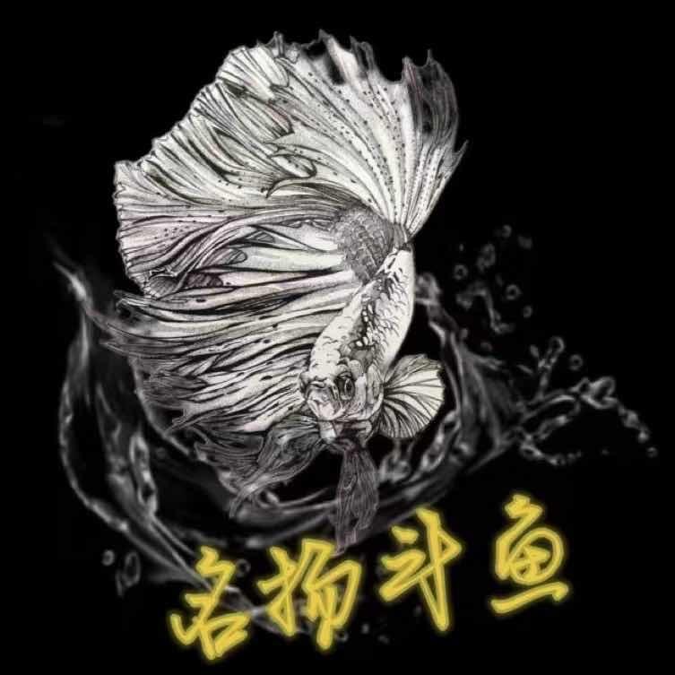 名扬水族
