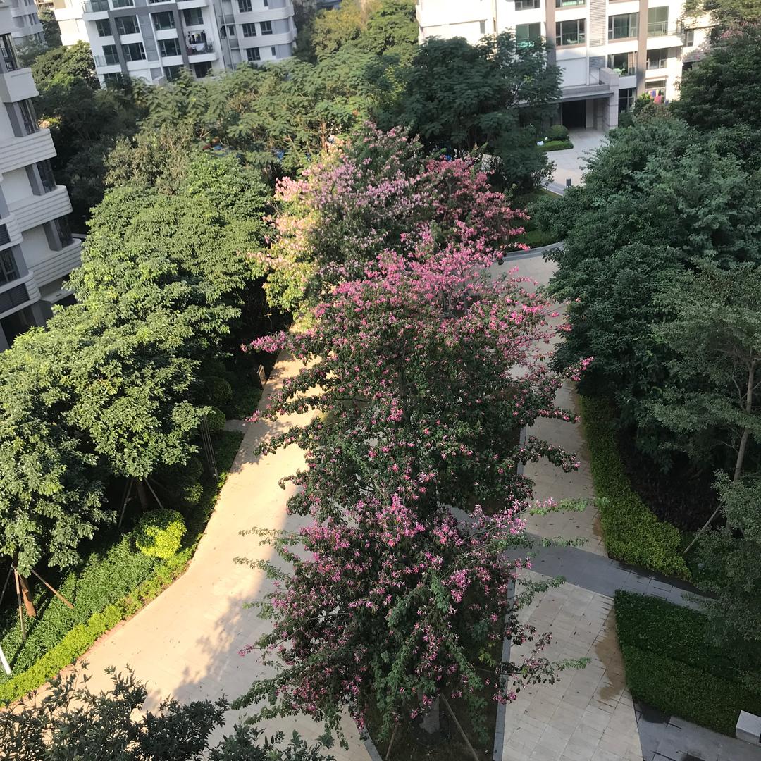 知音人（萨克斯演奏）