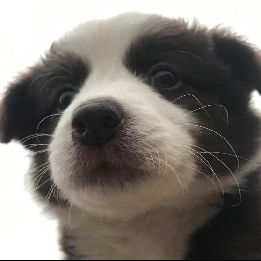小一