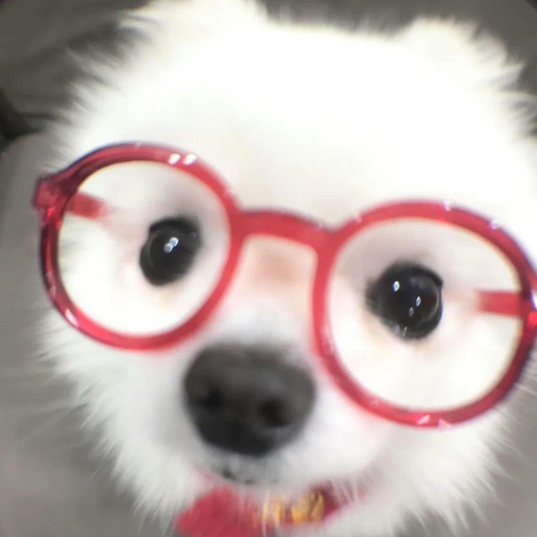 狡猾的农村入