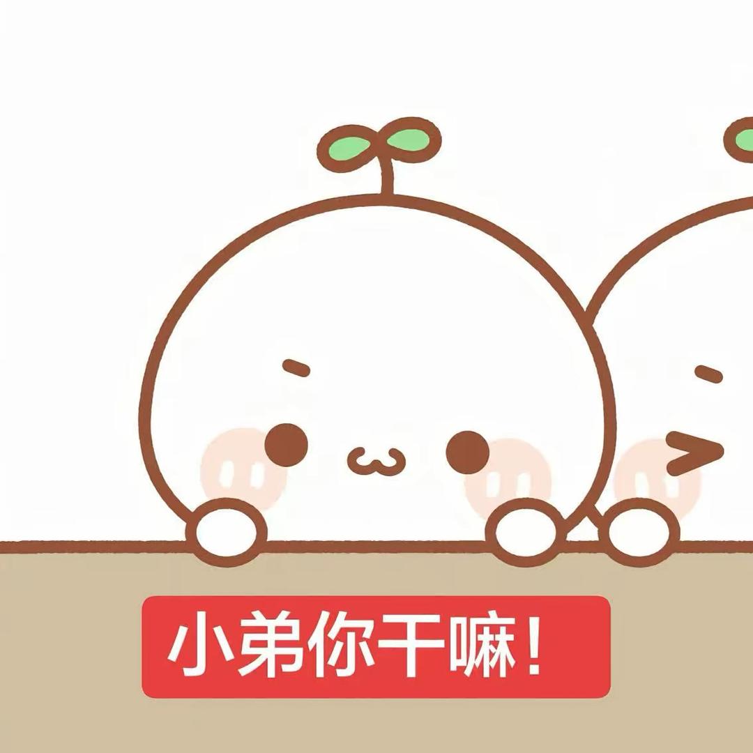 不笨