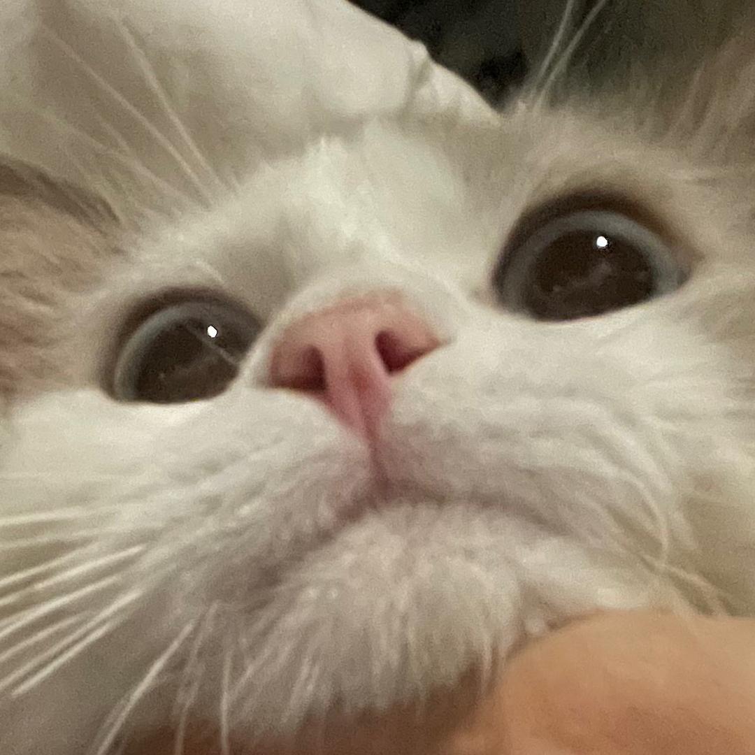 取一支持