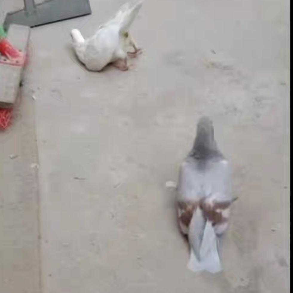 武汉简钠百货有限公司小宁