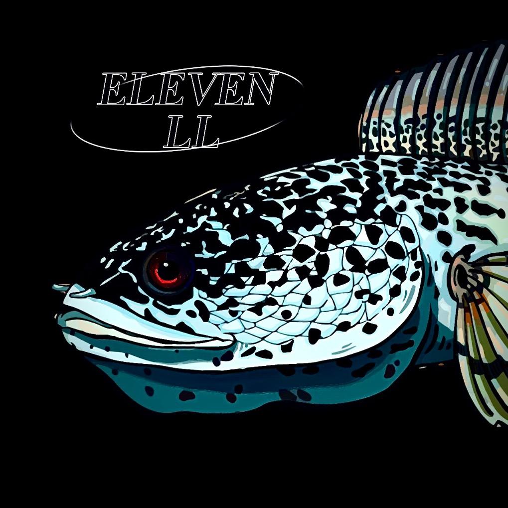 ELEVEN 🐟