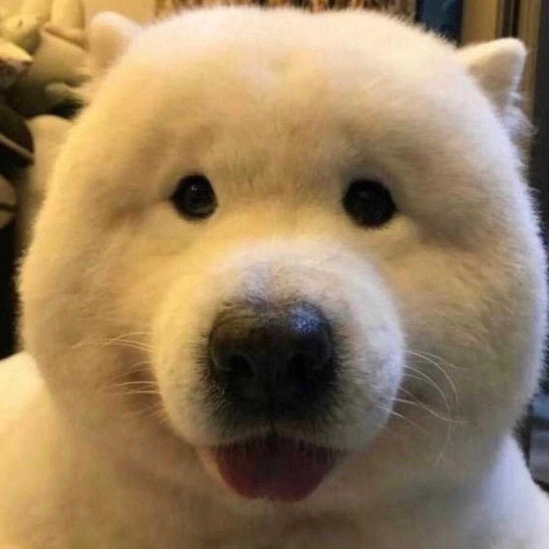 萌趣小游戏