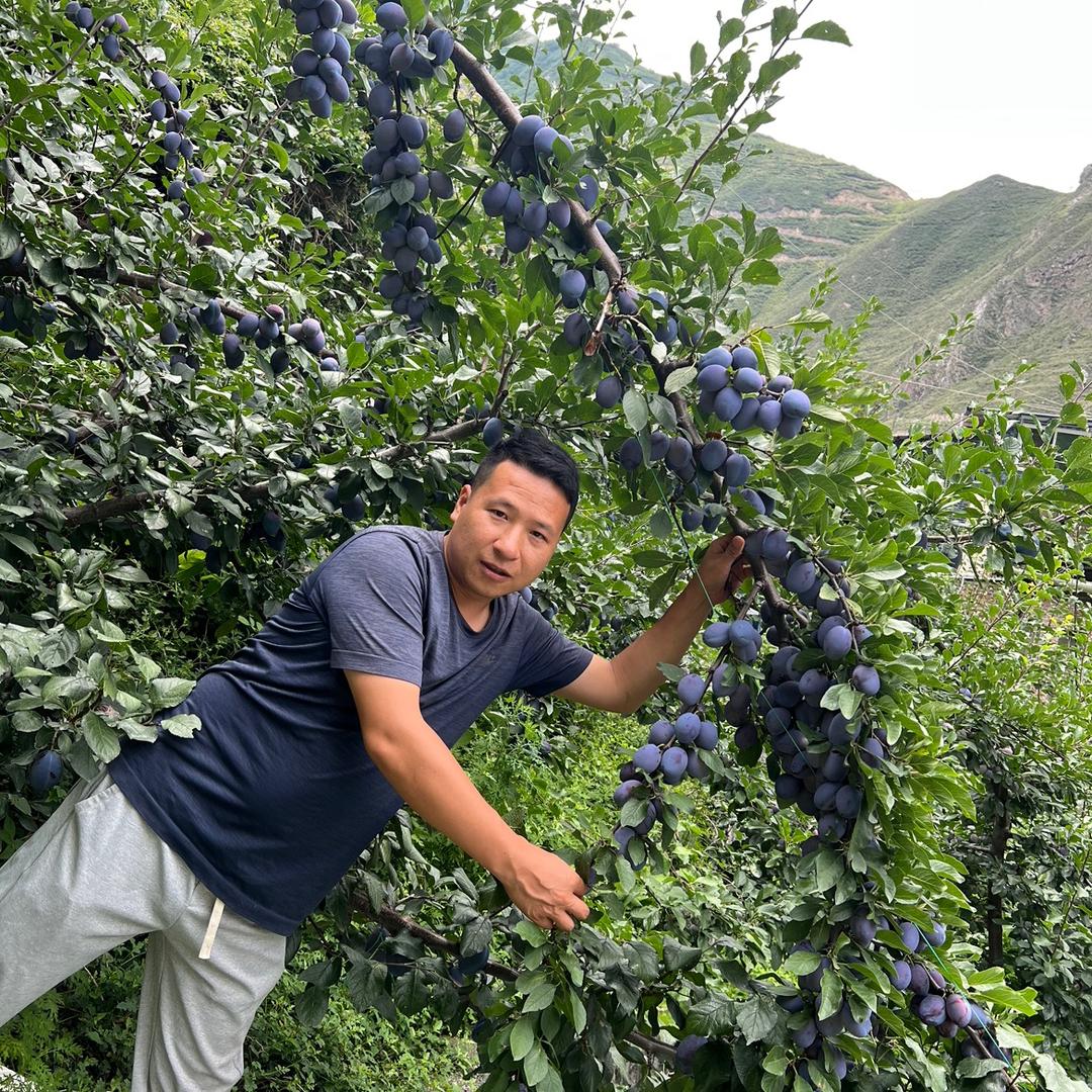 新农人 根帝哥