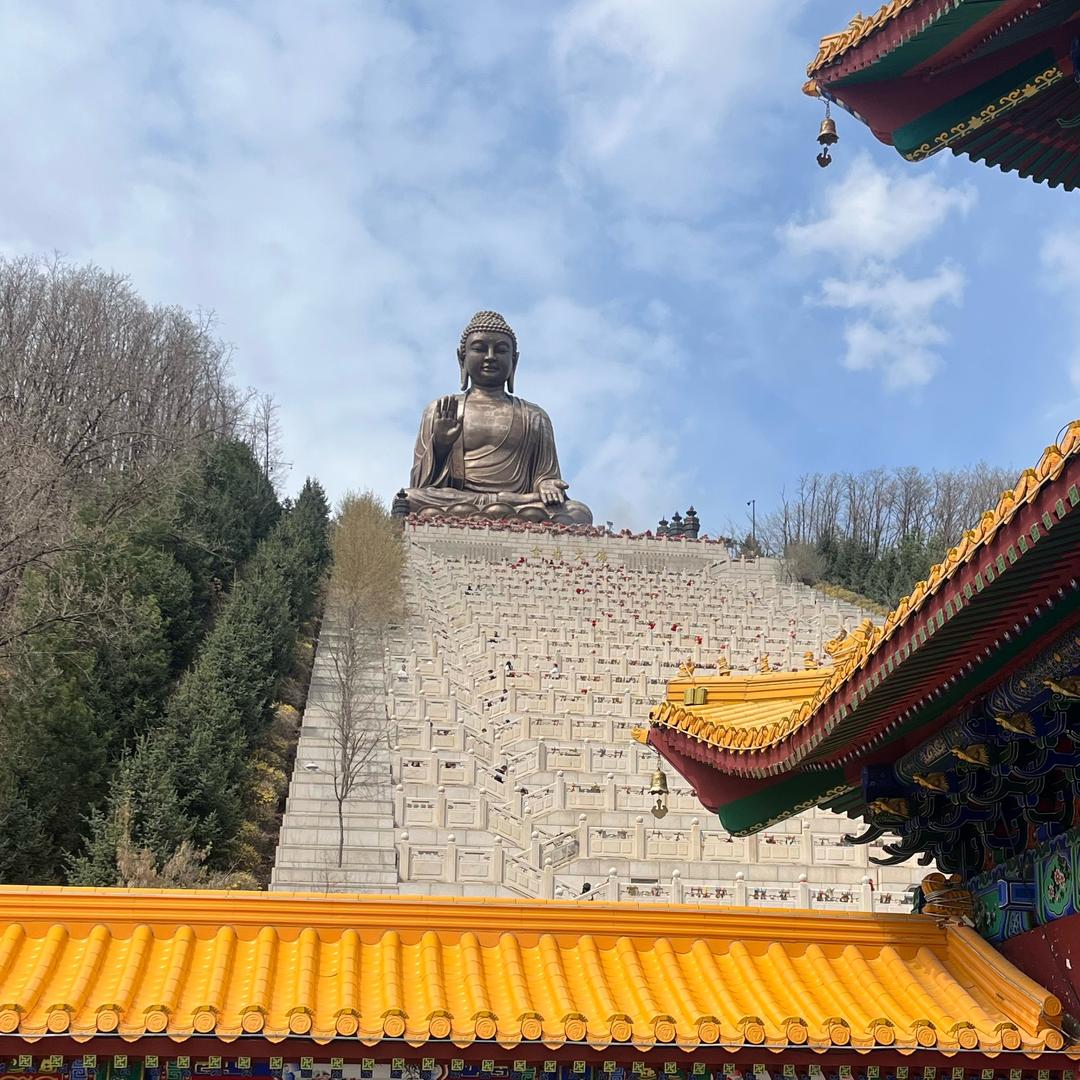 扫地僧山货