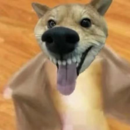 纯情老头火辣辣