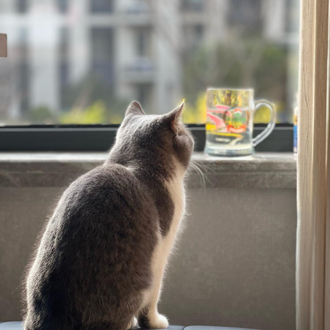 山山而川🧚🏻‍♀️