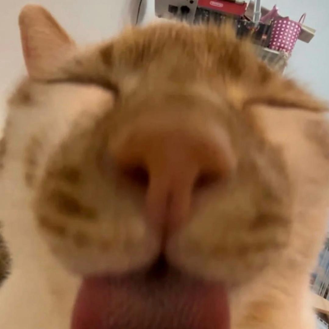 PM