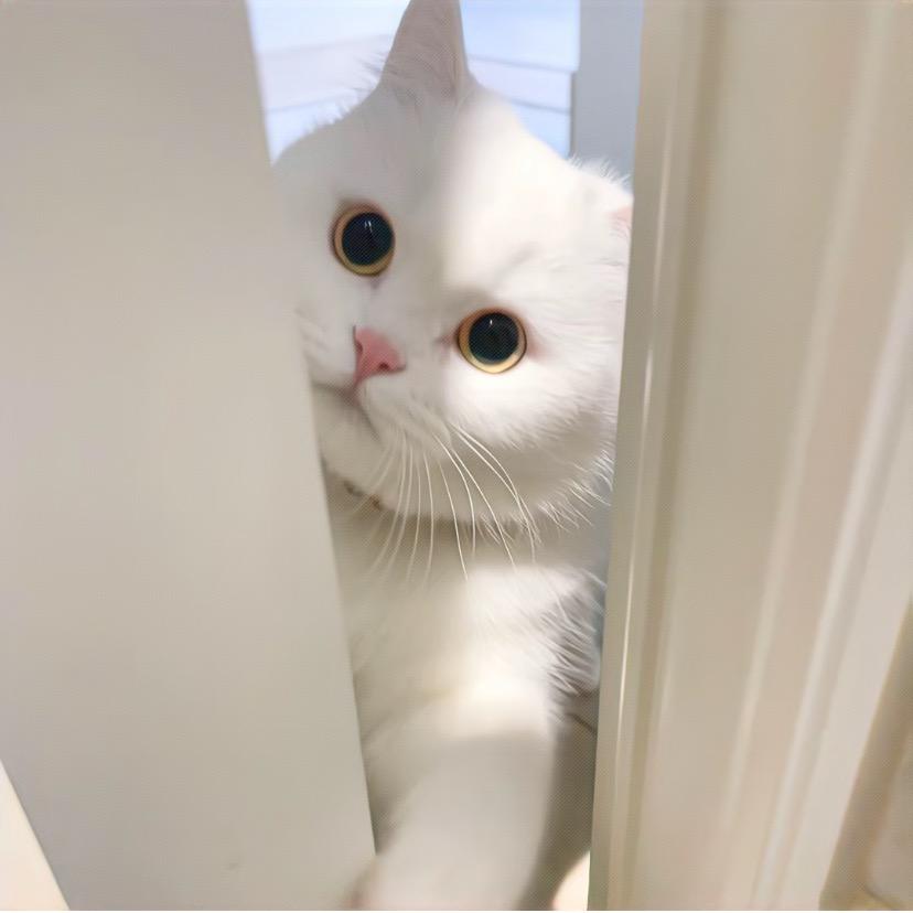 反骨奶芋