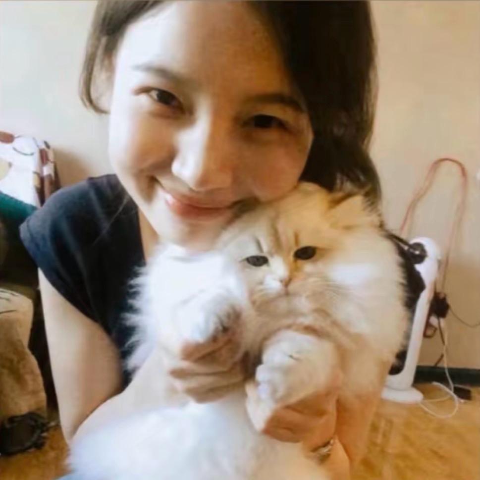 陈美嘉