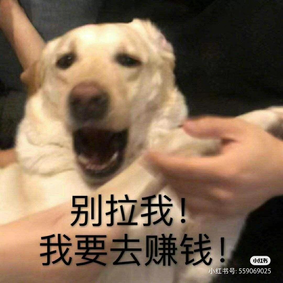 每日轻松易搬