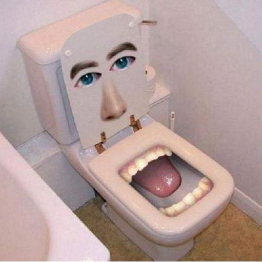 🌈安妮的专用马桶