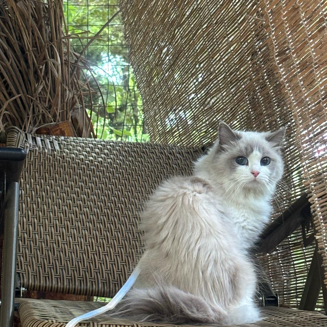 小范☀️