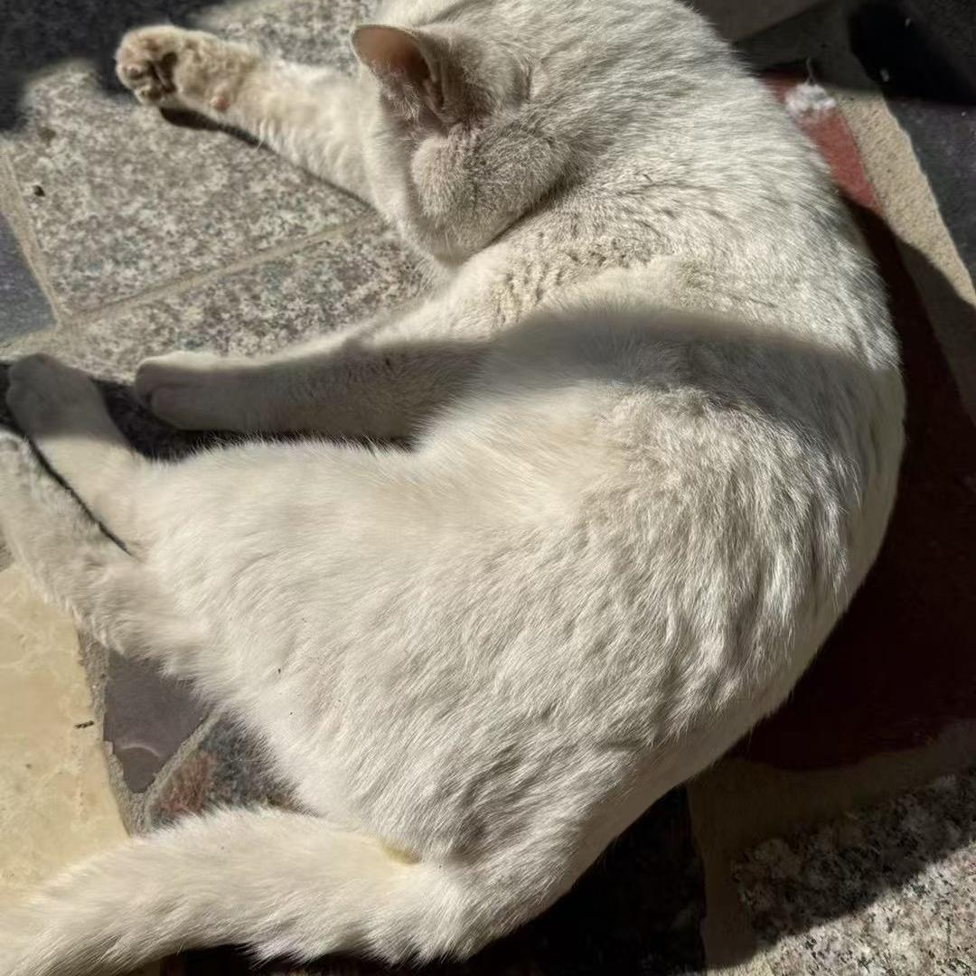 徐铭泽.