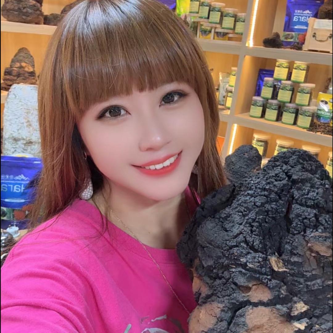 小燕子桦树茸批发