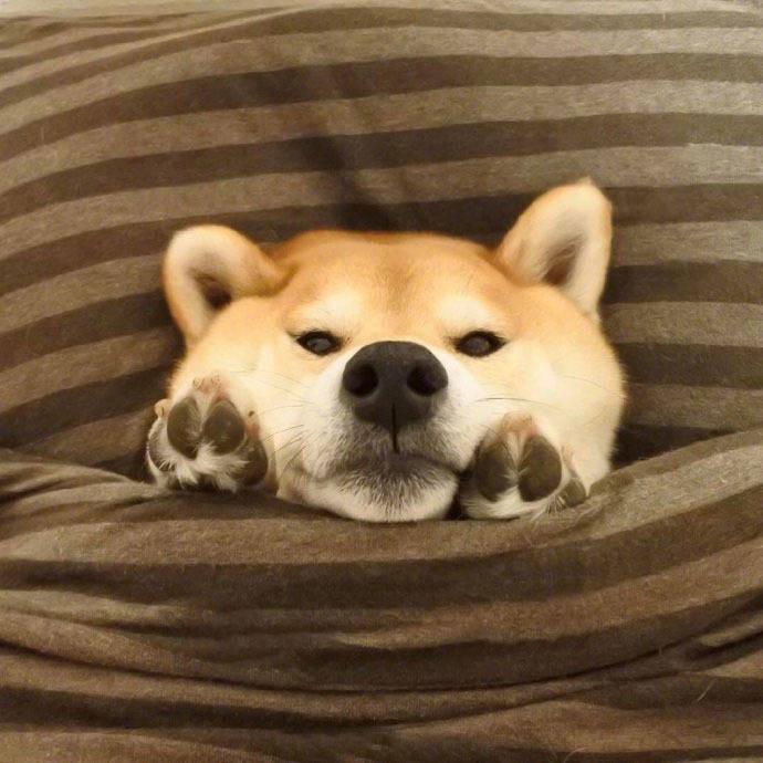 嘉嘉😏