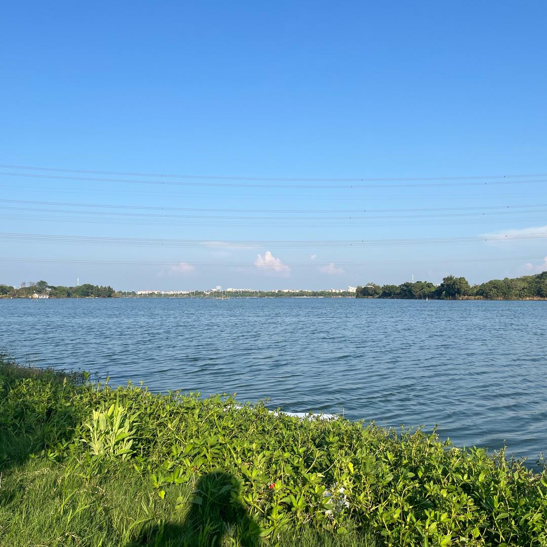 柔情常令你心有愧