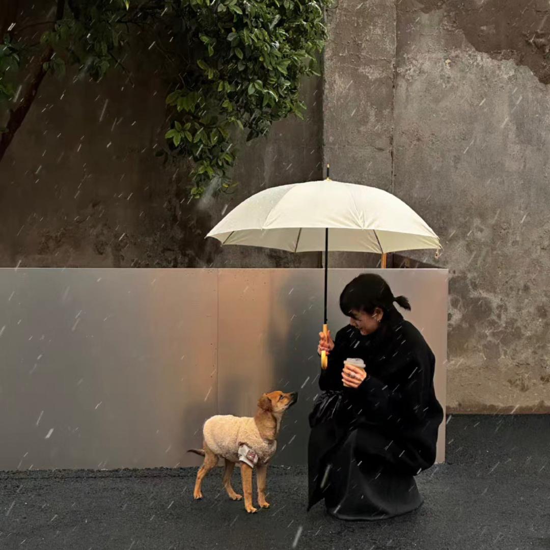 Toto•