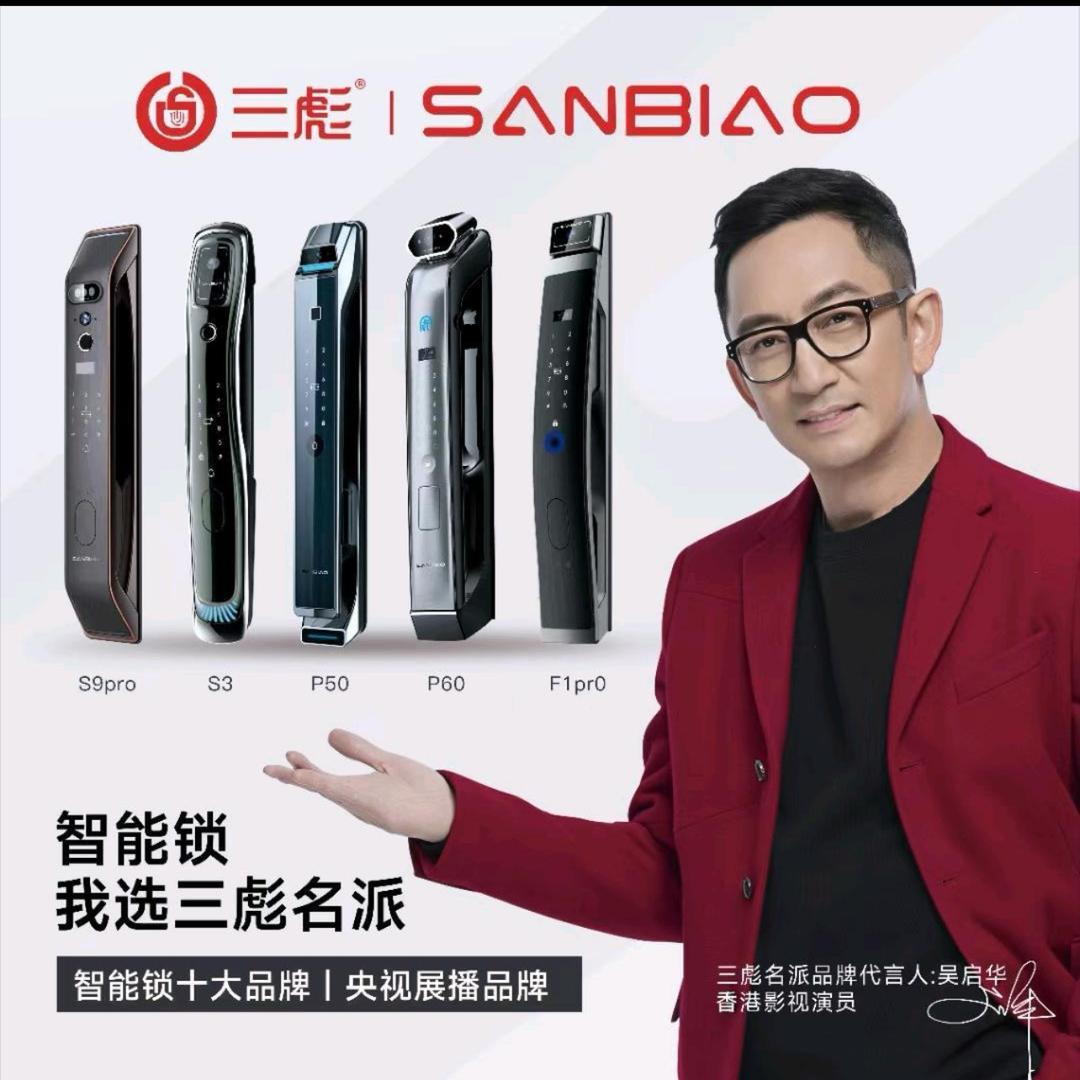 汝州市智能锁三彪名派智能锁