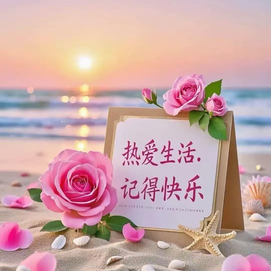 春风不识路
