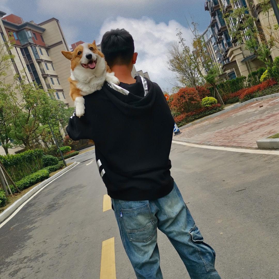 皇冠宠物学校@抖音