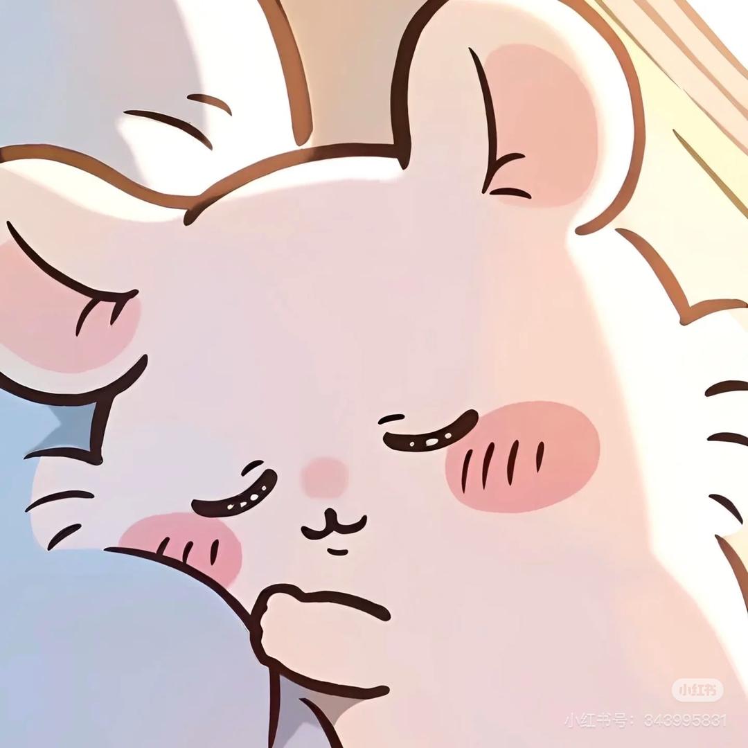 小猫用户