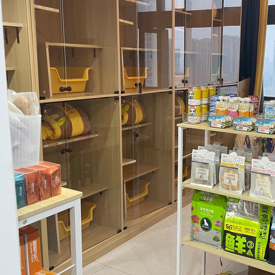 十一喵宿(接寄养）