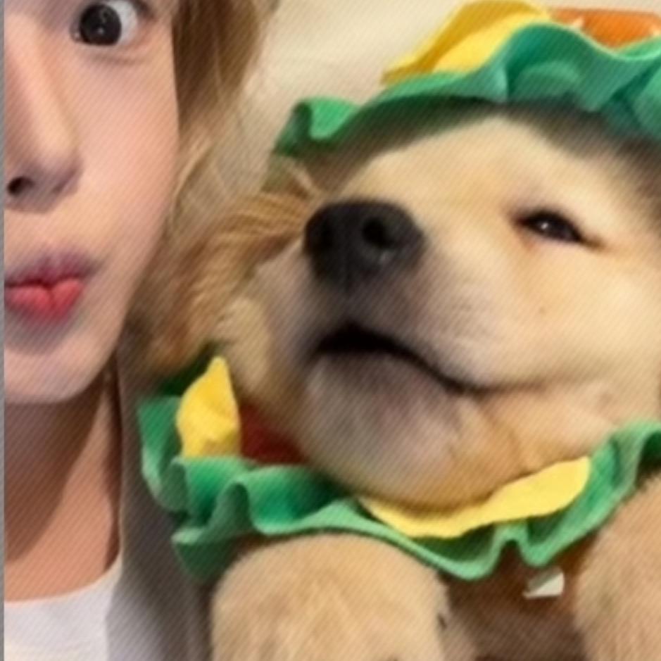 人傻嘴不甜长得安全还没钱