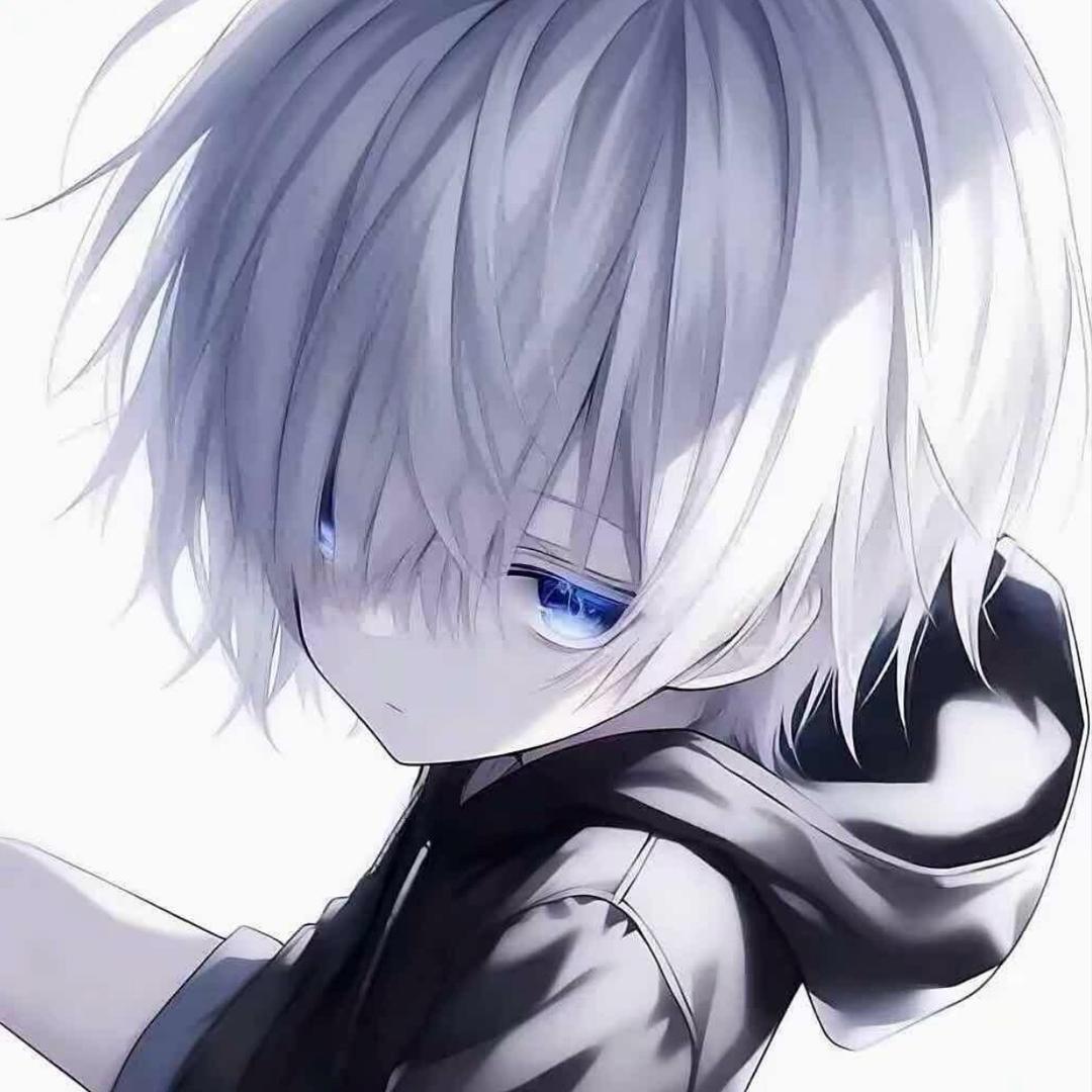 ㅤㅤ ㅤㅤㅤㅤgira