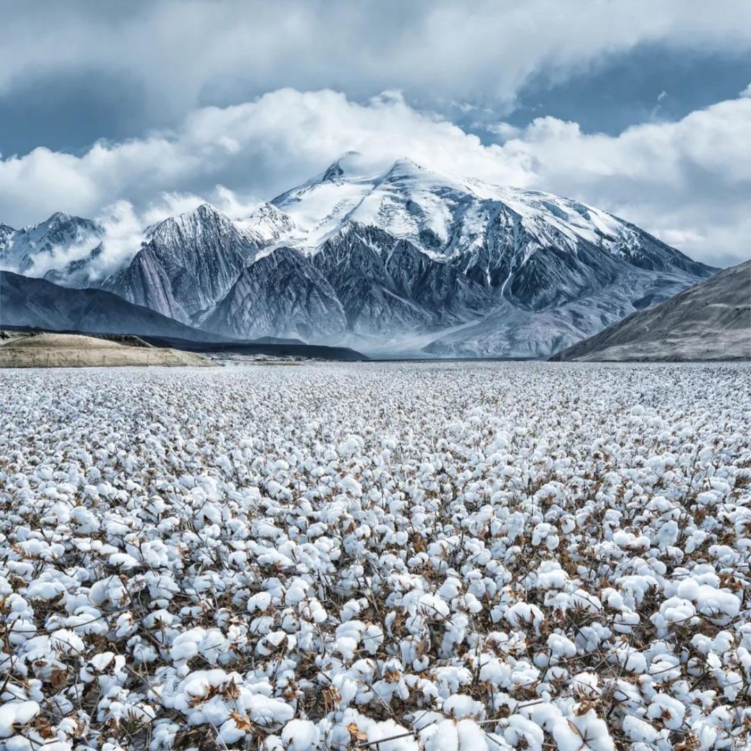 小董爱农业👨🏿‍🌾