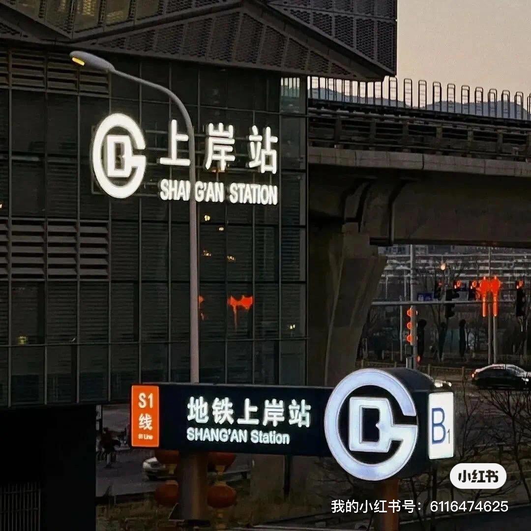 上岸