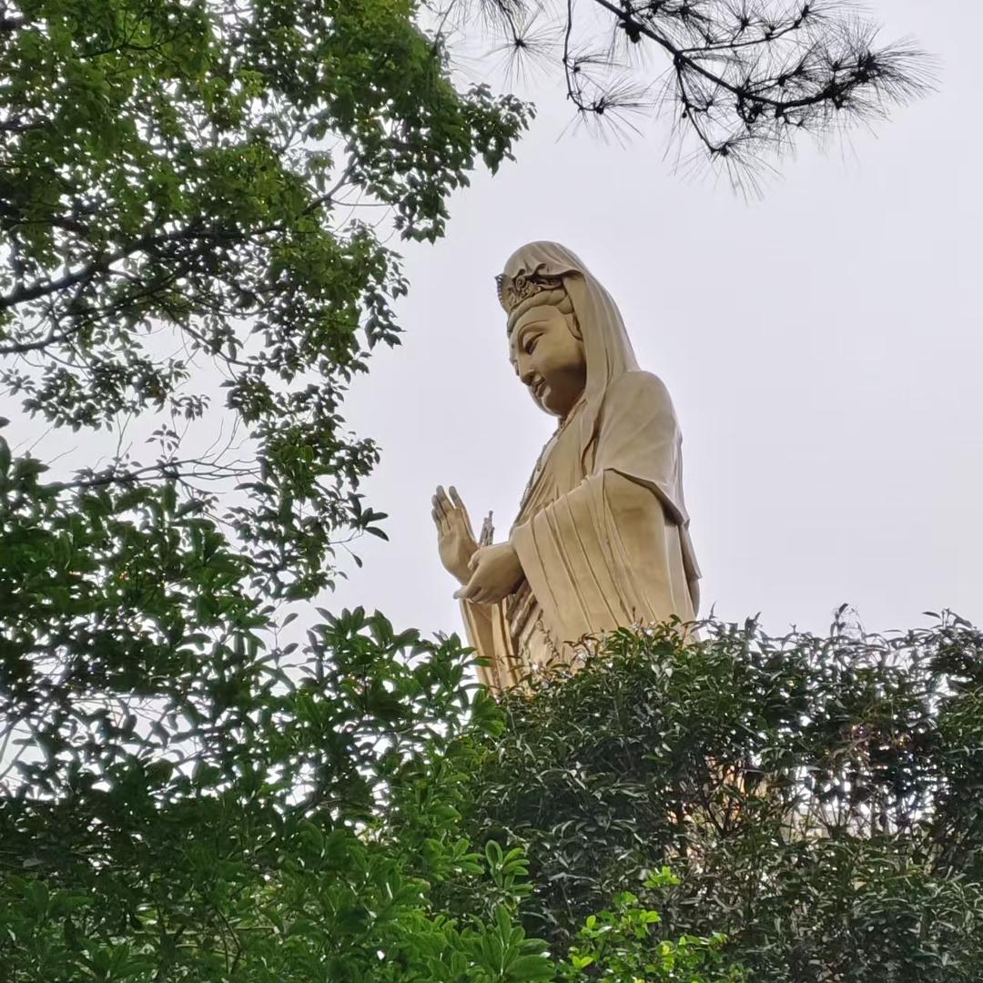 @我是某某某