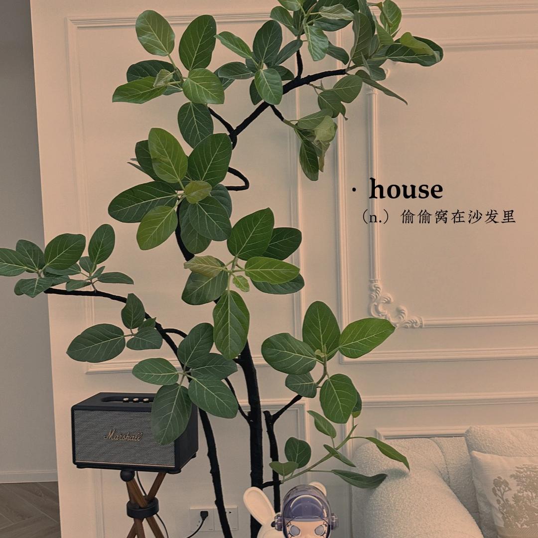 有家·比那多鲜果·水果(秀英区店)专用号