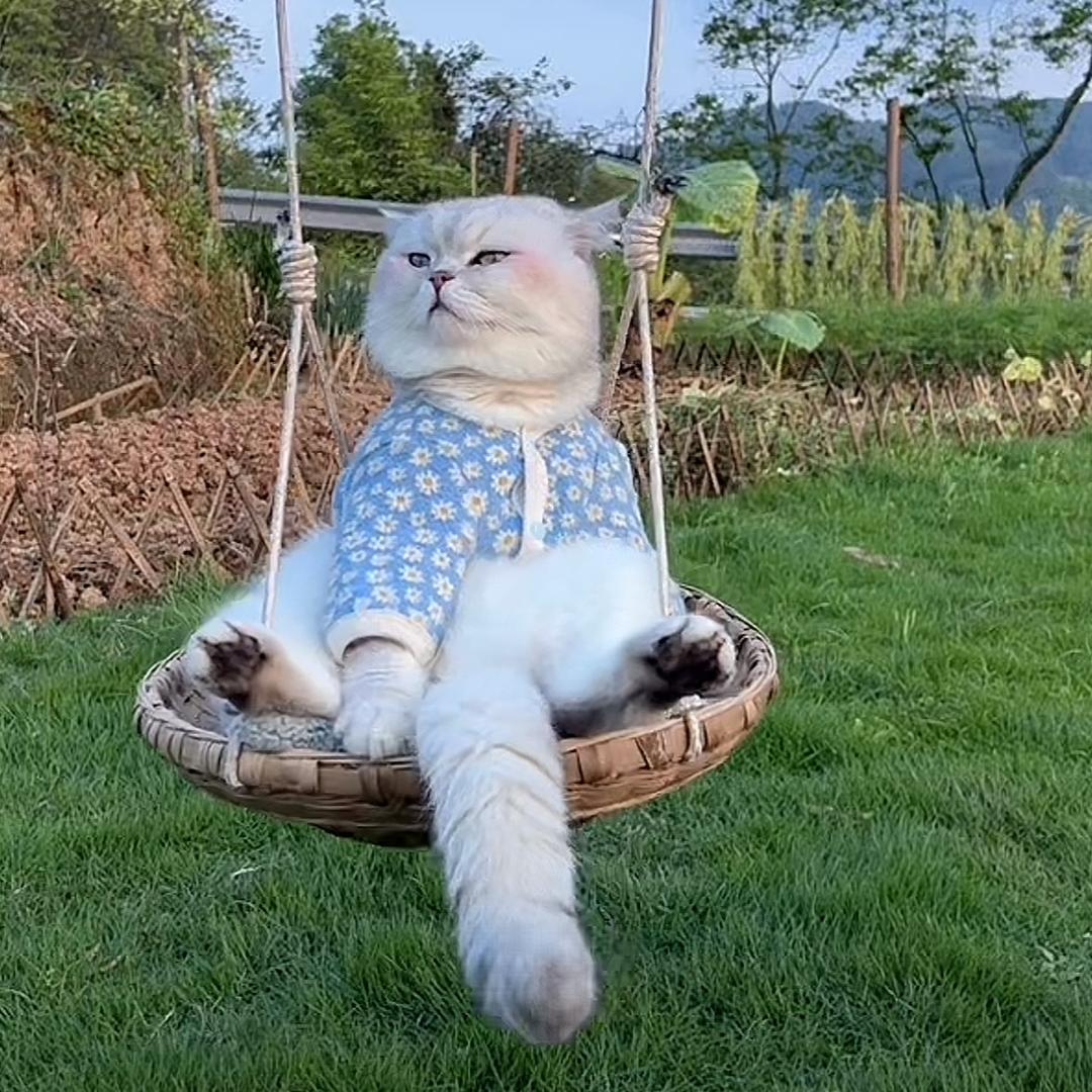 @ 晚 睡💤