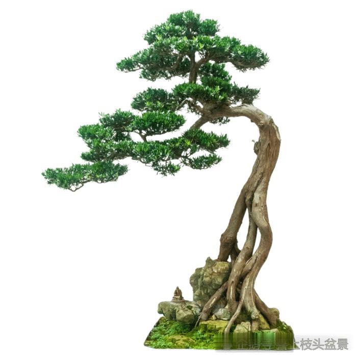 永福花卉坊