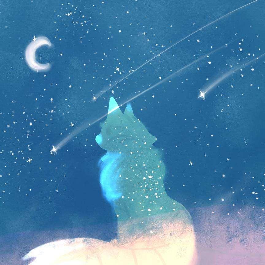 言🐨✨